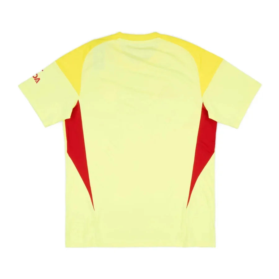 Arsenal GK 1 Fan Jersey 2025/26